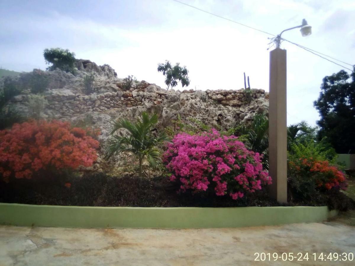 Eve'S Rockaway Villa Alligator Pond Village Exterior photo